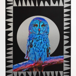 Owl - Image 2