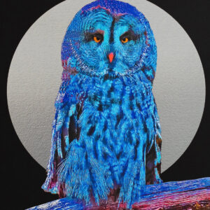 Owl - Image 3